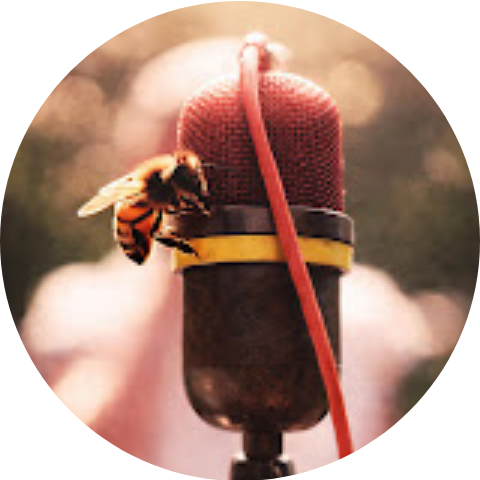 That Buzz artist artwork